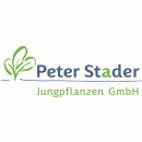 Peter Stader Jungpflanzen